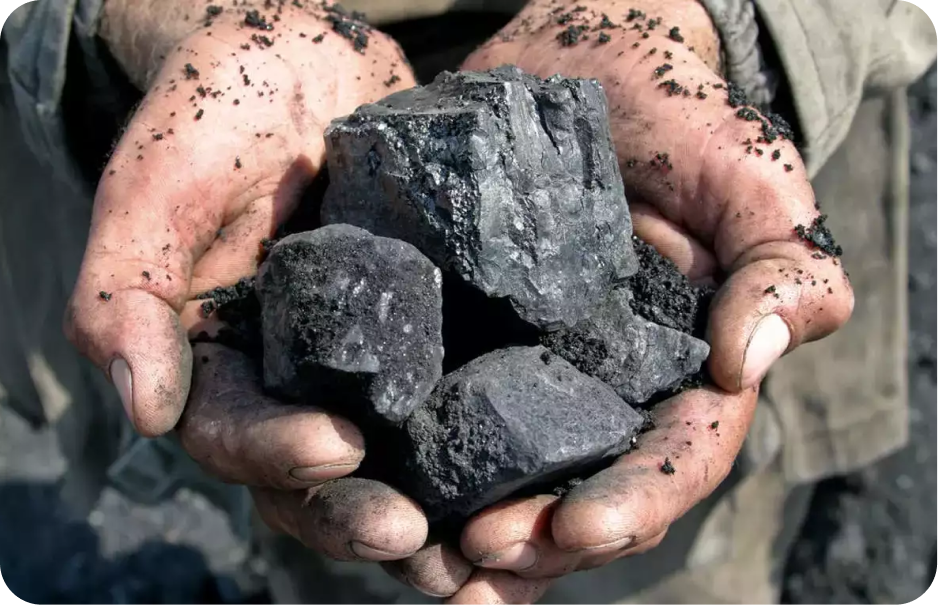 Sector: Coal